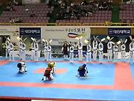 세아송판 격파영상