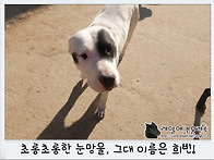 볕을 쬡시다~ 앞으로, 뒤..