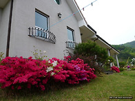 지난 봄의 전원주..