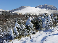 신년 한라산 산행.