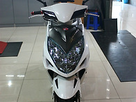 Racing125 튜닝 윙카/텔..