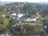 벚꽃이 이뻐서 사진과 영상..