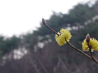 향로봉과 향로산