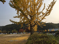 가을 구경