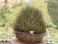 청남대를 다녀오면서......