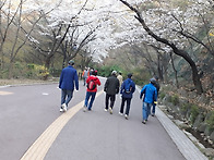 2020 4/4 남산 둘레길 걷..