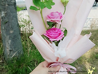 작은 꽃다발 선물 #쉬즈플..