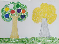 현재의 나의 나무,이상적인..