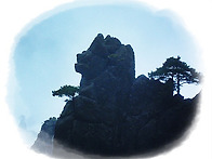 ▶봉초(35회) 산..