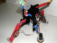 빙글빙글 낙타봇