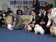 나나와 안나의 첫독쇼