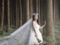 Outdoor Photograph..