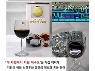 뉴스맨 하수오 정..