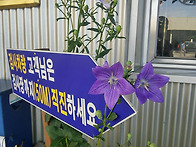 화~이~팅