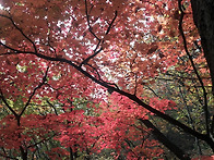 백운대 단풍산행(1)