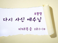 -마감-(15.3월 무료다운자..