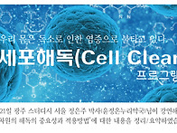 7월 광주스터디 - 세포 해..