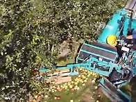 피닉스님 이 기계..