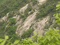 화산유격장과 마늘 밭(12..