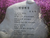 경기도 부천 진달래동산 ..