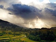 열반을 넘어 진화..