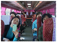 &clubs; 비금향우회 부녀회 청년..