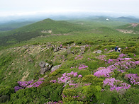 한라산 철쭉산행