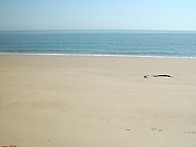 대이작도 소이작도