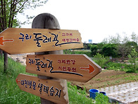 [일요산행]5/15.서울시계종..