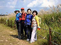 가을 만끽 무장산 억새....