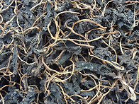 곰치를 데쳐서 말린것도 ..