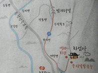 산수유