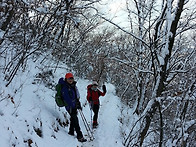 금병산 산행