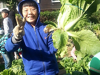 교재원 배추 무 뽑아요 ^..