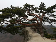 춘천