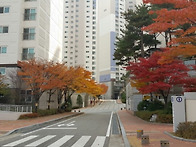 단풍든 우리 마을