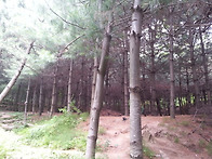 2013.06.09(일) 관악산