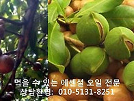 케리어 오일- 마카다미아 ..