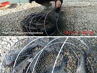 대부도바다낚시티 11..