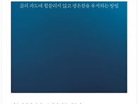 신간 소개 - 내마음을 안..