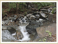 6월31일검단산비박