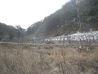 안동과수원정리합니다...