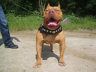 ★~44번 경매종료..