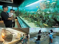 부산 해양박물관 무료개방