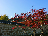 2014정기모임