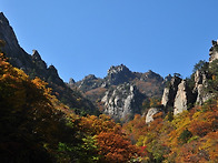 설악산 흘림골