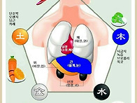 오행과 손 맛사지 요법