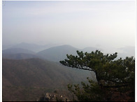 경상남도 남해 금산 (보리..