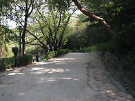 서대문구 안산 둘레길