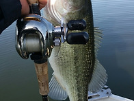 고삼아침피딩 짬낚시